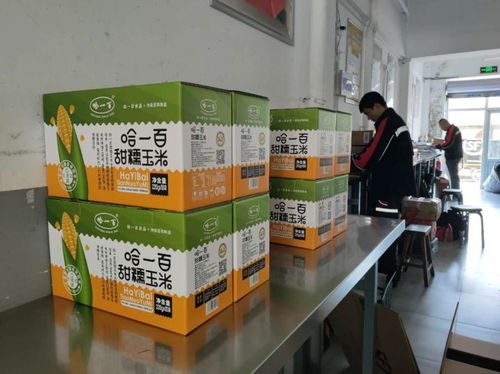 做强绿色食品加工业 哈一百 小玉米成就 大产业